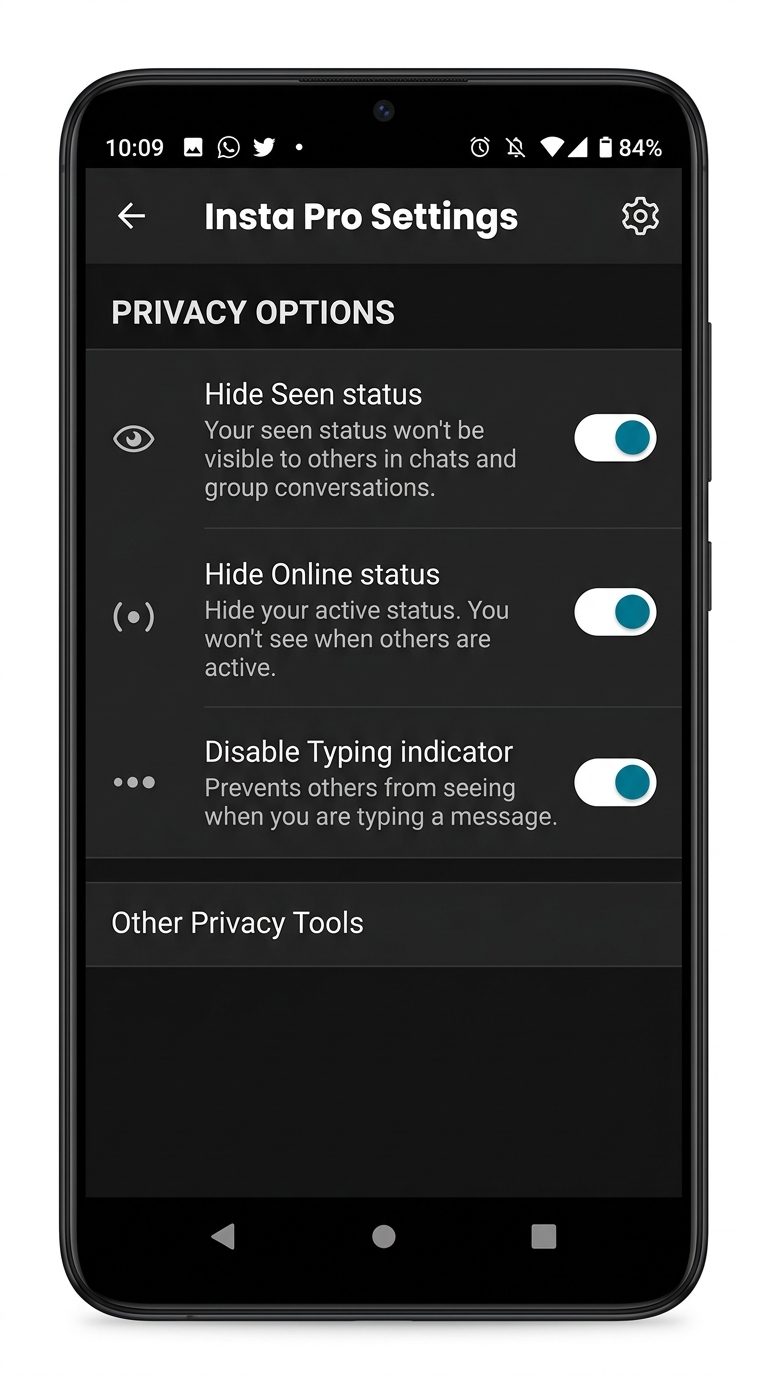 Insta Pro privacy settings panel